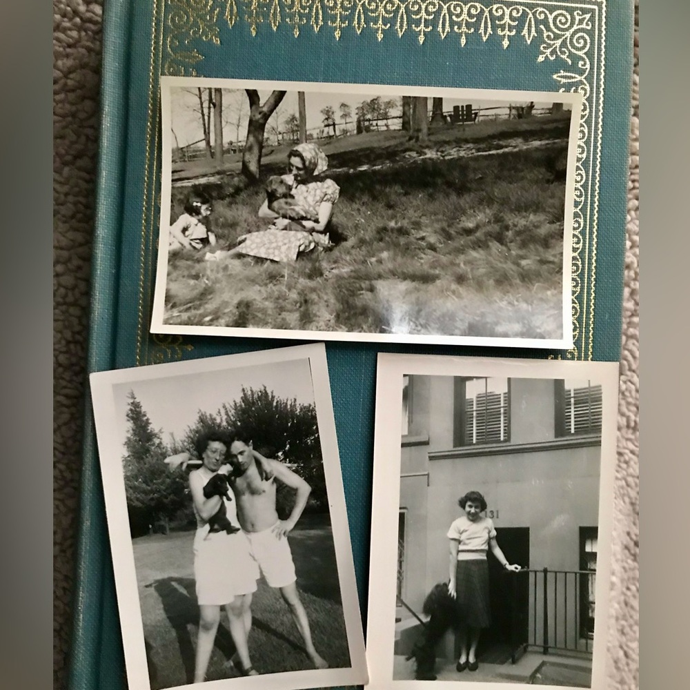 3 vintage photos: pets & their people 🐾💕